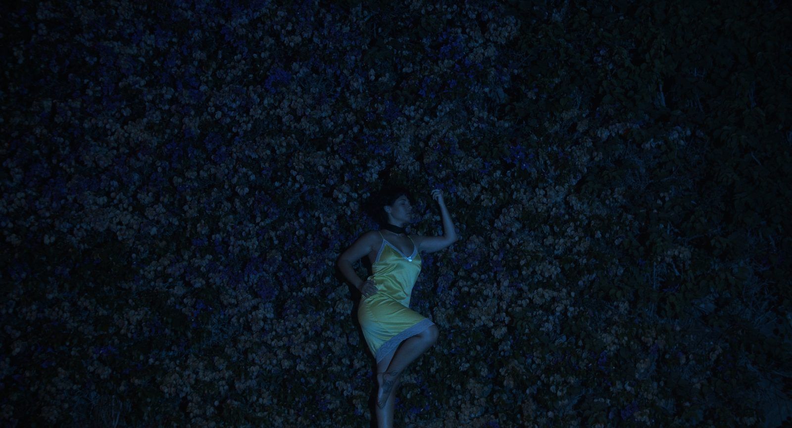 Fotograma 2 de Saudade